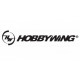 Hobbywing