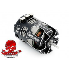 MuchMore FLETA ZX V2 Specter 17.5T Brushless Motor with Titantium Shafts MR-V2ZX175SPT 