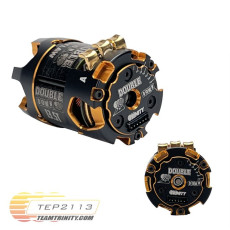 Trinity Double Down 13.5T Outlaw Brushless Motor TEP2113